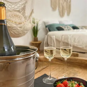 Bien-etre Au Naturel, Room, Jacuzzi Sauna, Centre-historique Appartement