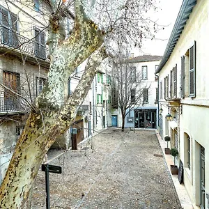 Entre Le Pont D' Et Le Palais Des Papes Avinhão